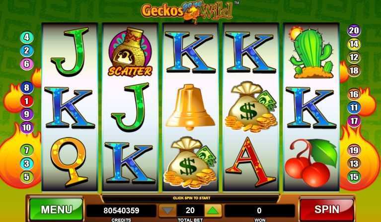 Geckos Gone Wild Geckos Gone Wild