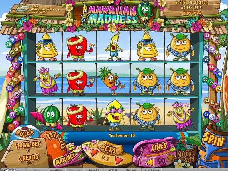 Play Hawaiian Madness