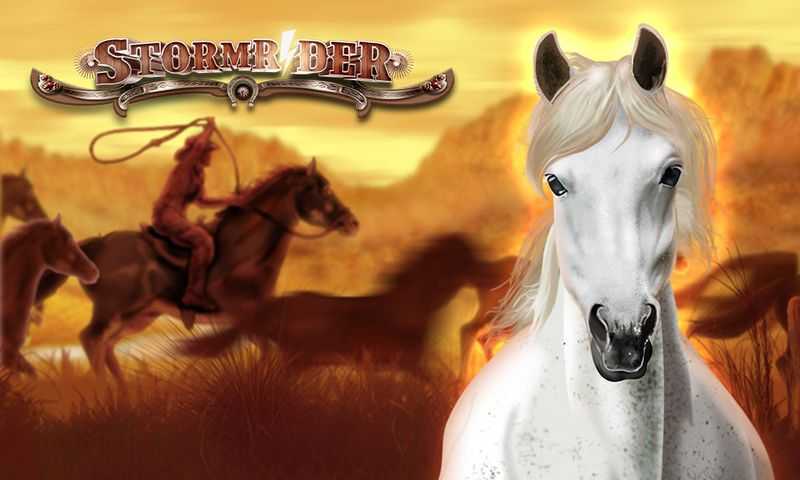 Play Storm Rider