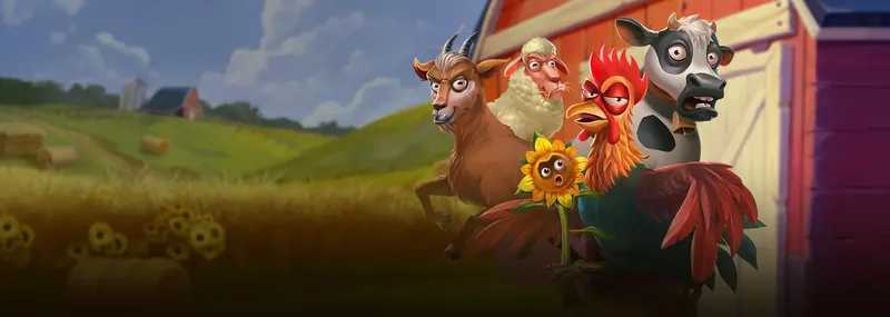 Play Animal Madness