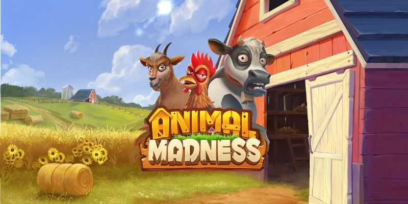 Animal Madness Animal Madness