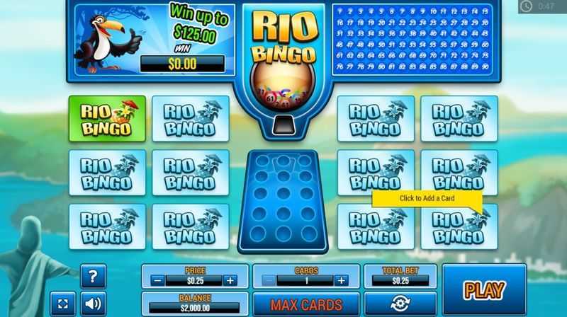 Surfing Beauties Video Bingo Surfing Beauties Video Bingo