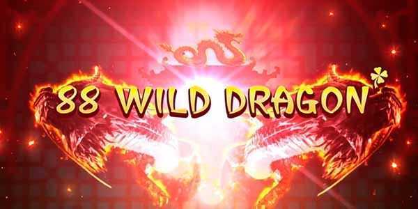 88 Dragon 88 Dragon