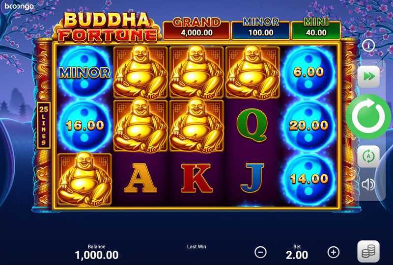 Fortune Multiplier Fortune Multiplier