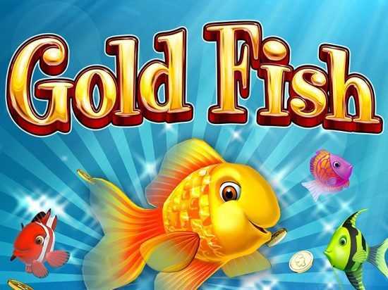 Gold Fish Fortunes Gold Fish Fortunes