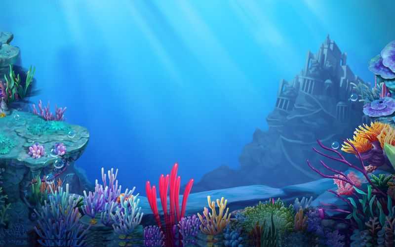 Ocean Richies Ocean Richies