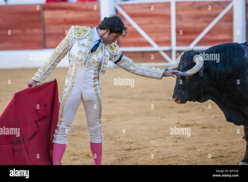 Bullfight Bullfight