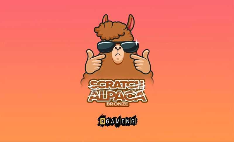Funny Alpaca Funny Alpaca