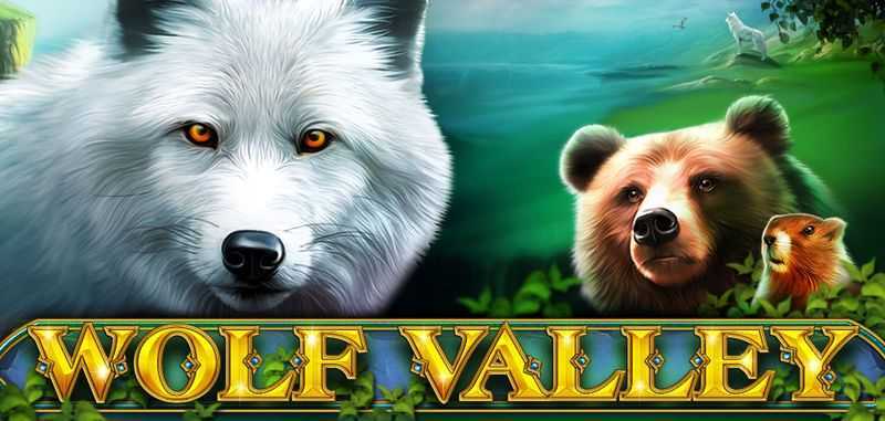 Wolf Valley