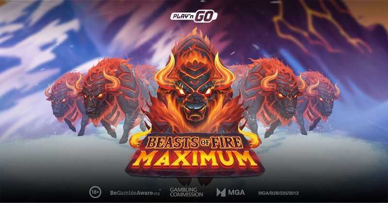 20 Lines of Fire 20 Lines of Fire