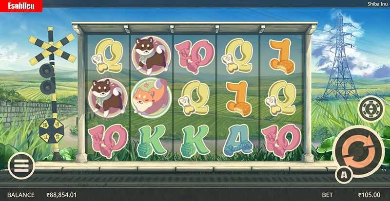 Shiba Inu Shiba Inu