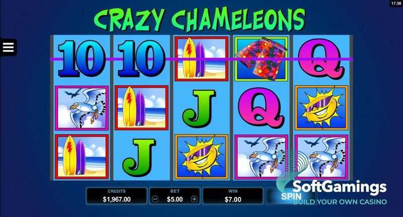 Crazy Chameleons Crazy Chameleons