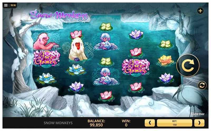 Snow Monkeys Snow Monkeys
