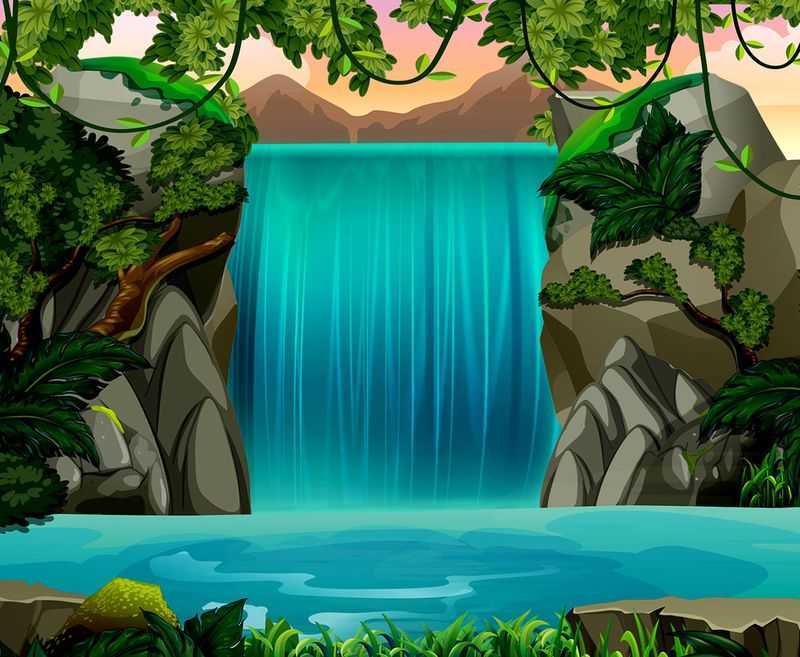 Jungle Falls Jungle Falls