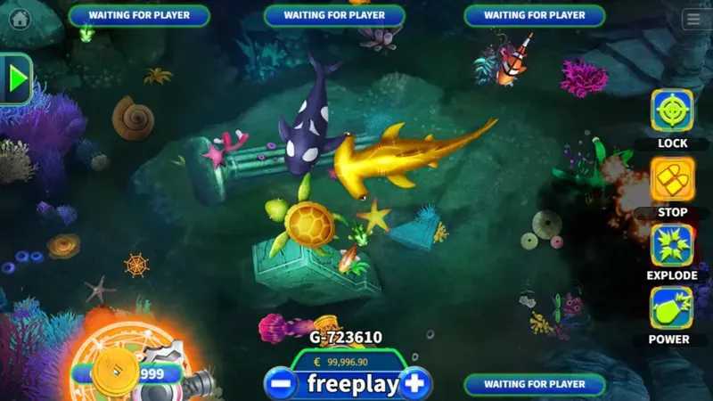 Golden Fish Golden Fish