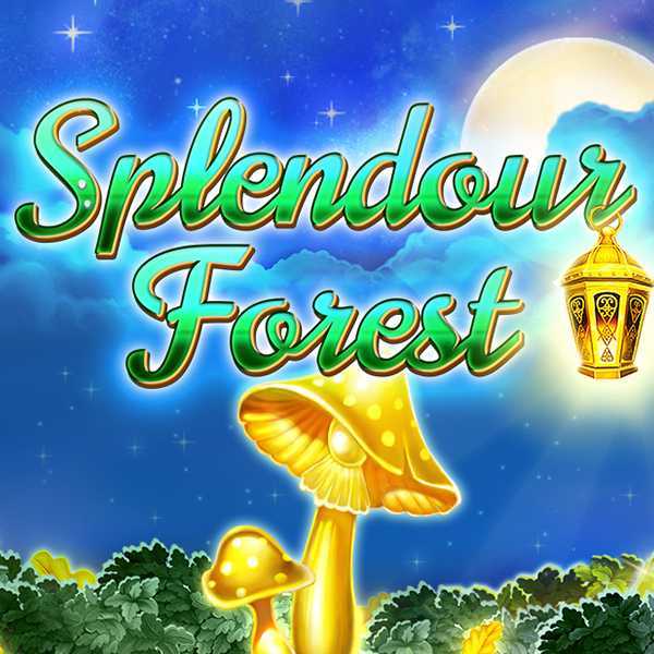 Splendour Forest Splendour Forest