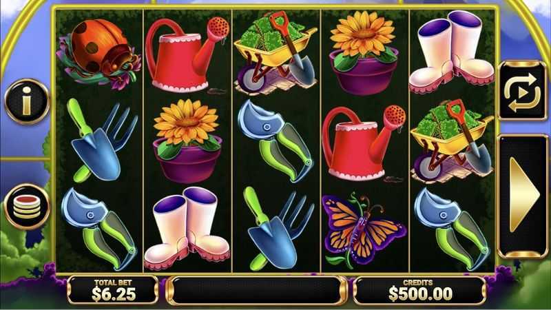 Cash Garden