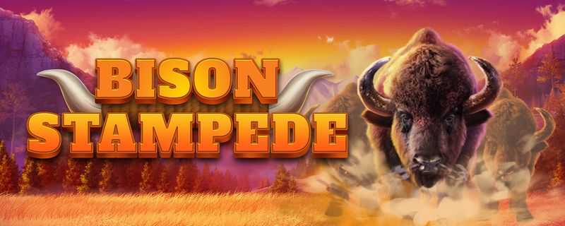 Bison Stampede Bison Stampede