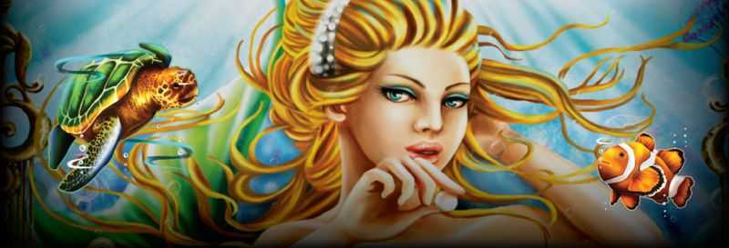 Enchanted Mermaid Enchanted Mermaid