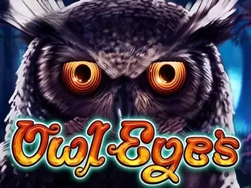 Owl Eyes NEW Owl Eyes NEW