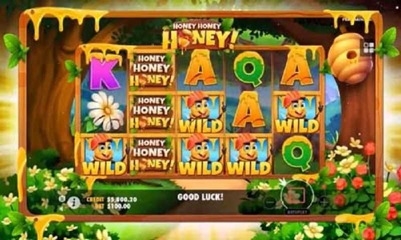 Honey 888