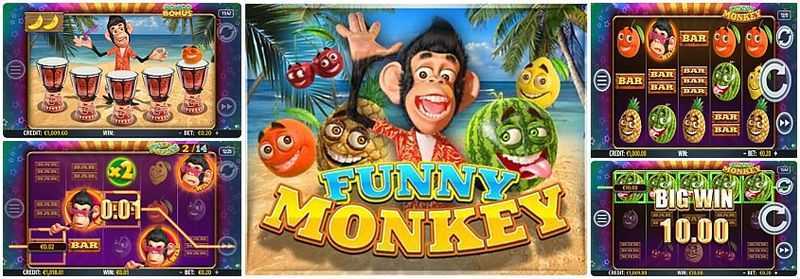 Funny Monkey Funny Monkey