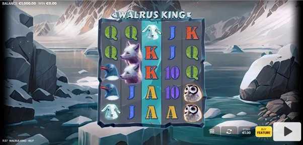 Walrus King Walrus King