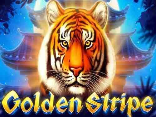 Golden Stripe Golden Stripe