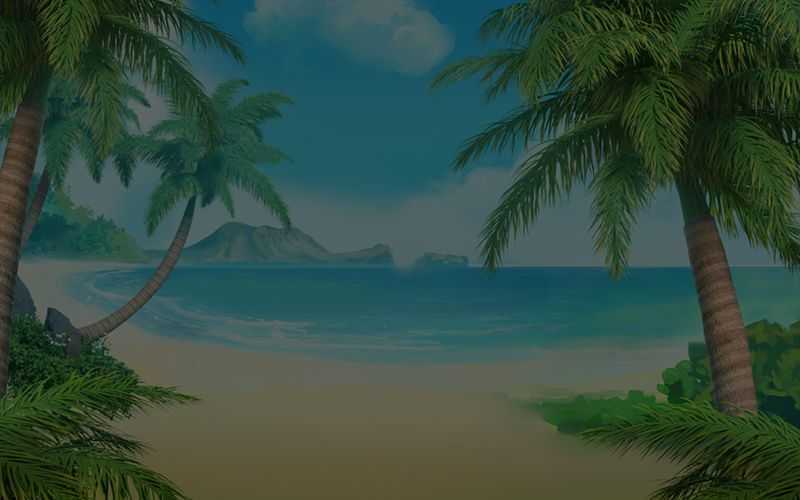 Bikini Paradise Bikini Paradise