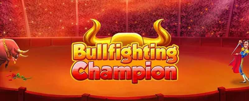 Bull Fight Bull Fight