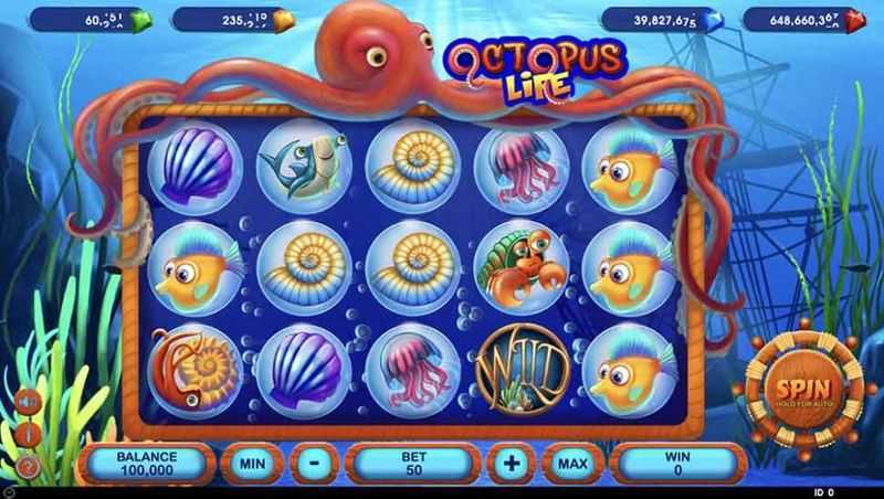 Octopus Life