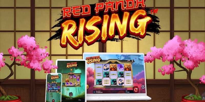Red Panda Rising