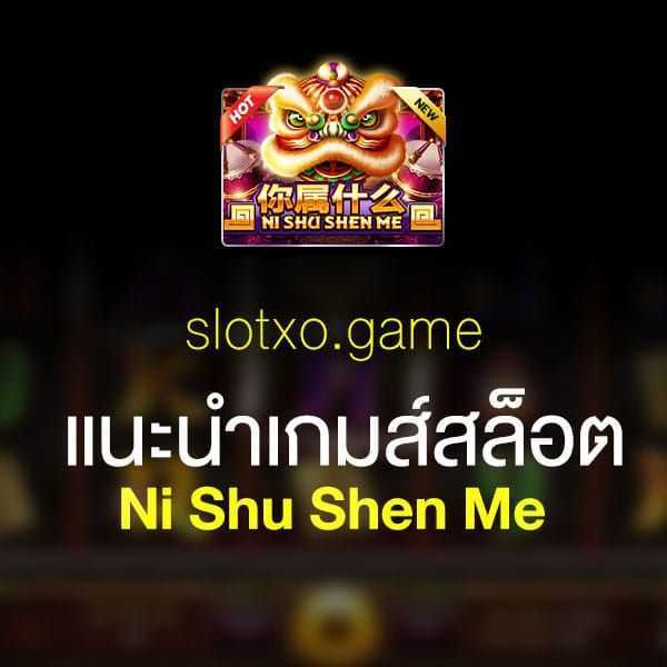 Ni Shu Shen Me