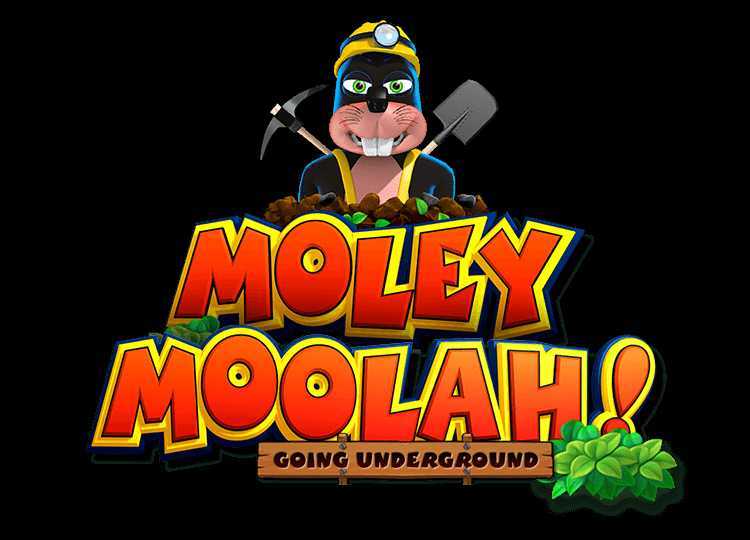 Holey Moley Holey Moley