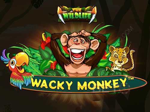 Wacky Monkey Wacky Monkey